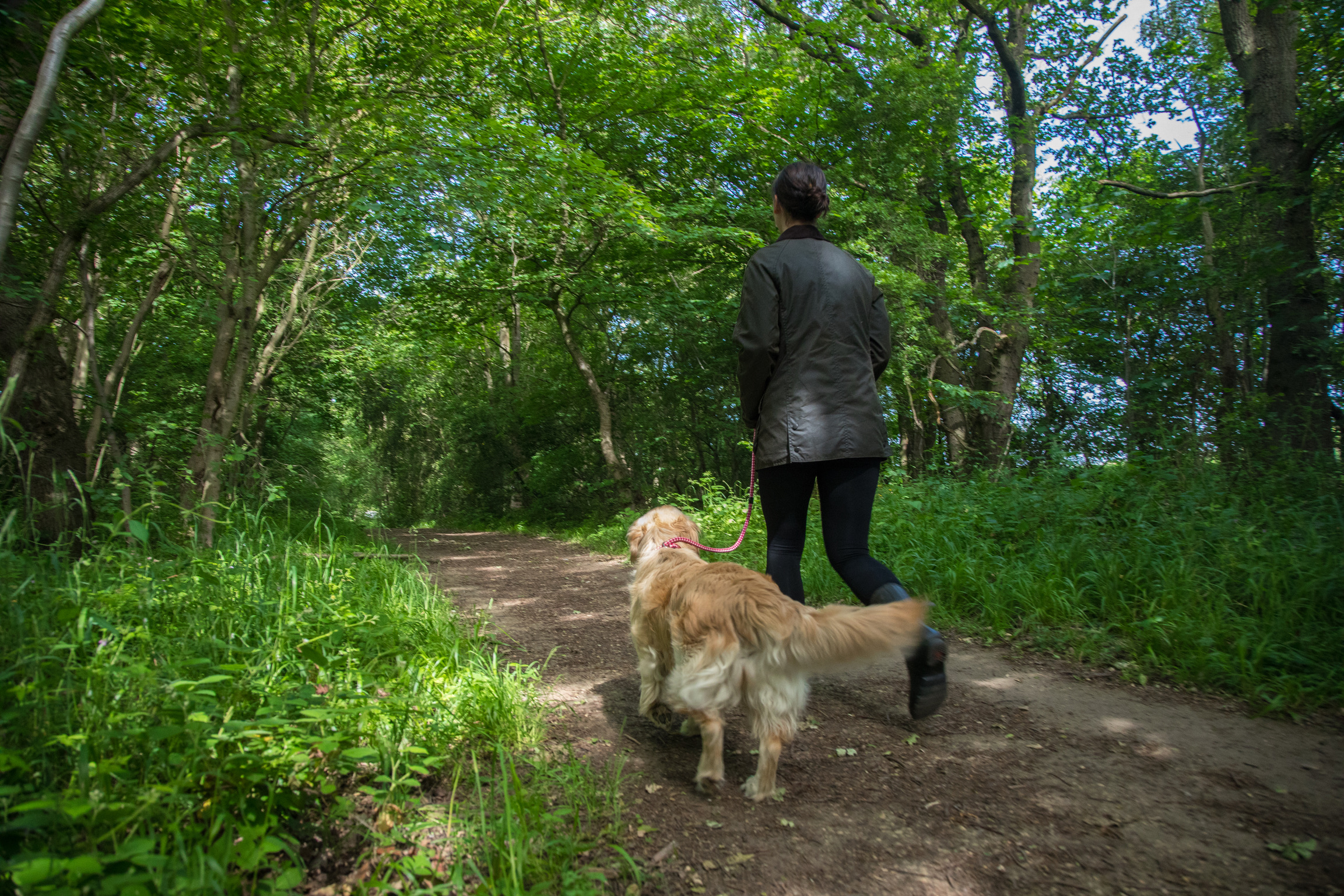 BEED1894-74C5-41A3-B73D-1E638F6CE05A